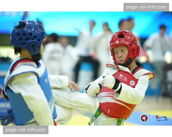 跆拳道装备品牌普利杰体育赞助广州大满贯电子护具杯 跆拳道装备品牌普利杰体育赞助广州大满贯电子护具杯